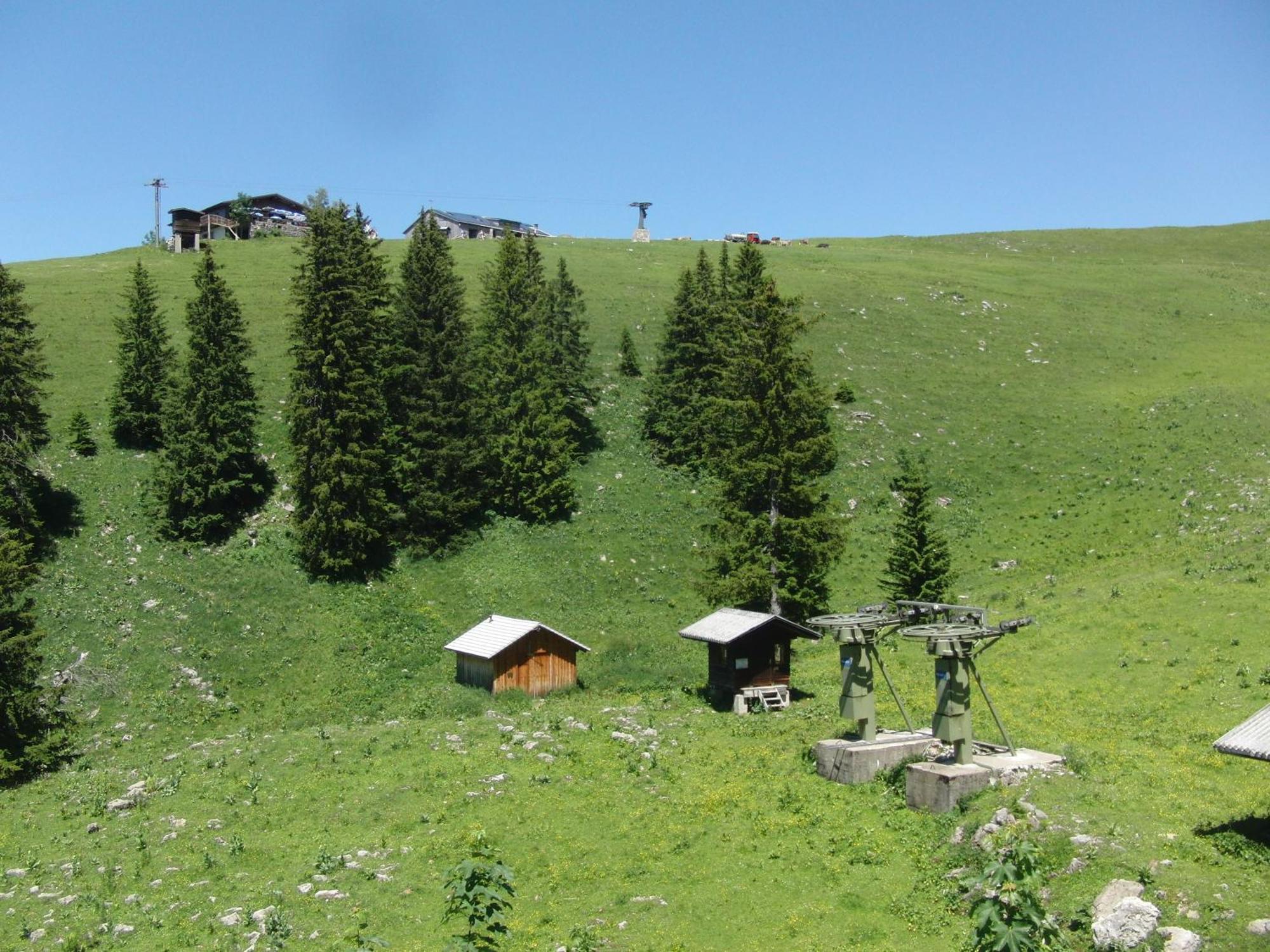 Gaestehaus-Pension Barbara Andelsbuch Exteriér fotografie