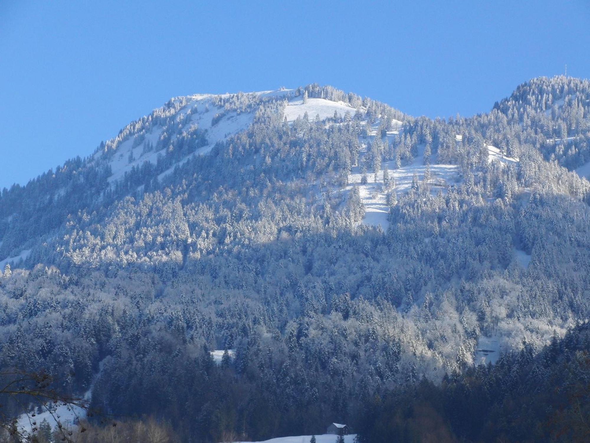 Gaestehaus-Pension Barbara Andelsbuch Exteriér fotografie